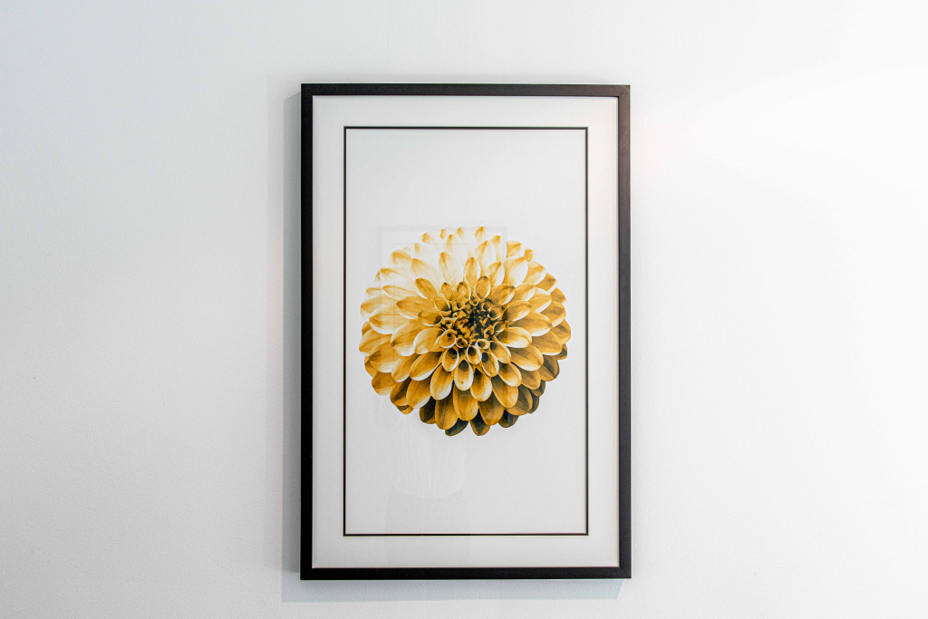 389A1079-1024x683 (1)