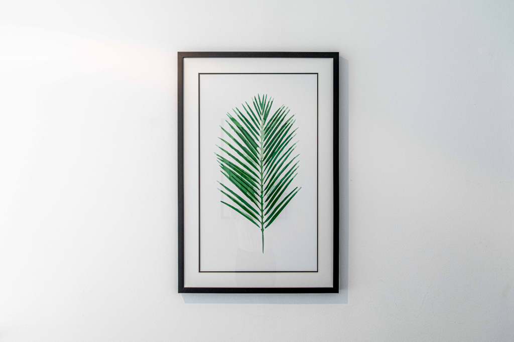 389A1080-1024x683 (1)