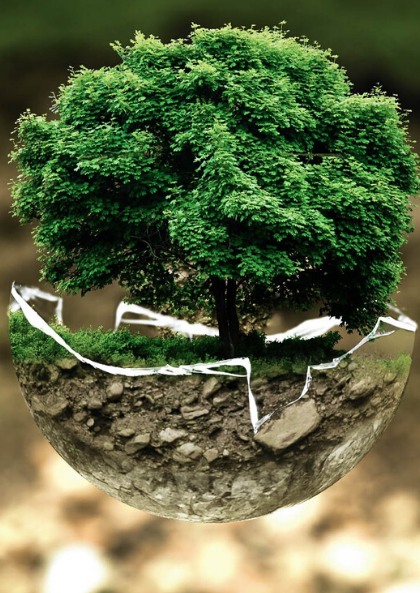 Our Environment Randwick Accommodation