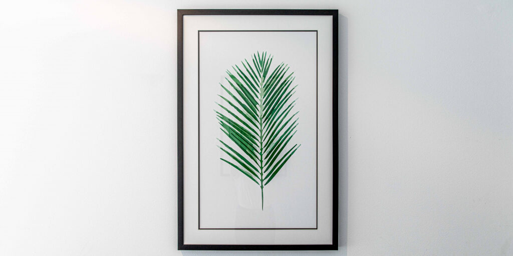 Randwick Accommodation