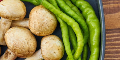 420x593_veggie.e8a8d1 Randwick Accommodation