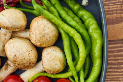 Randwick Accommodation