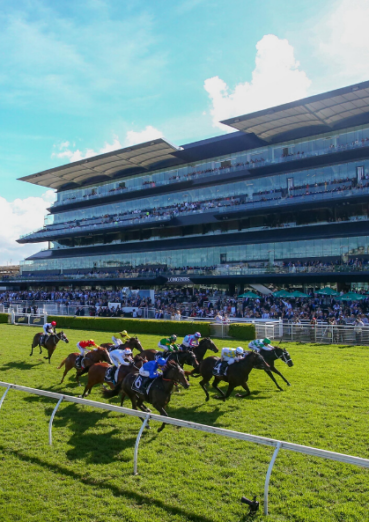 Randwick Accommodation