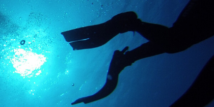 Randwick Accommodation