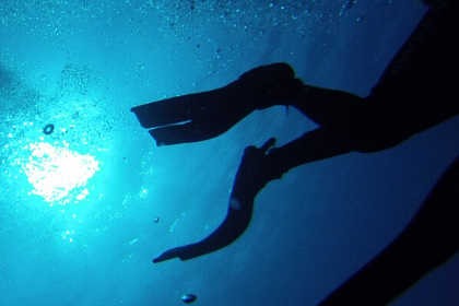 Randwick Accommodation