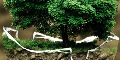 Randwick Accommodation