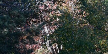 Randwick Accommodation