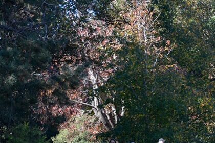 Randwick Accommodation