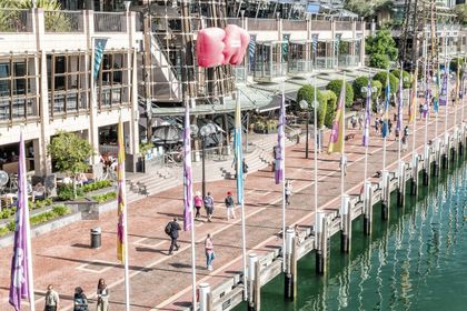 Randwick Accommodation