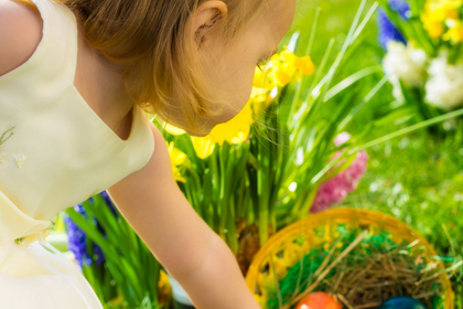 Randwick Accommodation