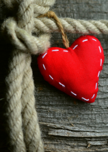 Sydney Lodges Loyalty Program Randwick Accommodation