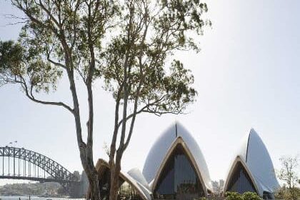 Randwick Accommodation