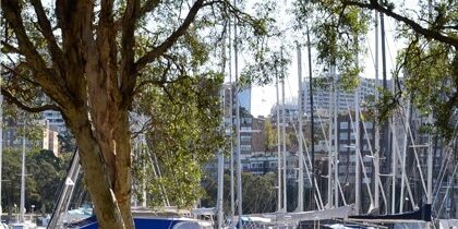 Randwick Accommodation